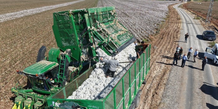Adıyaman’da pamuk hasadı başladı